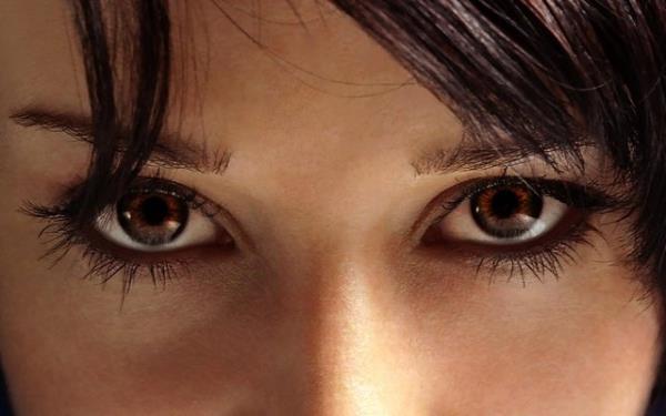 Bilinen primat trleri iinde nc gzkapan fonksiyonel olarak kullanan tek primatn, Bat Afrika'da yaayan Calabar Angwantibo (lorisler ile yakn akrabadr) olduu kaydedilmitir.