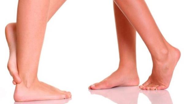 Bu kas insanlarda da ayn ekilde mevcuttur ancak o kadar az gelimitir ki vcudun dier blmlerinden herhangi birinin yeniden oluturulmasnda dokuya ihtiya olduunda, doktorlar tarafndan yerinden alnarak kullanlrlar.