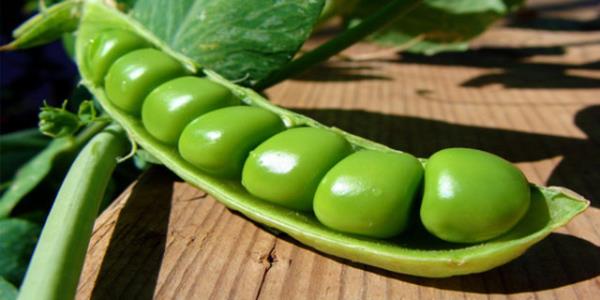 Eer arlarnzla birlikte ishal sorunu da yaarsanz bol su tketmelisiniz.