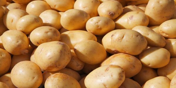 i patates suyu da mide yanmasnn doal ilacdr.