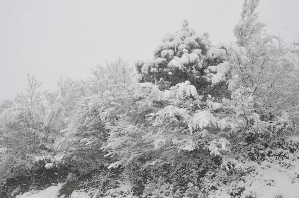 Kar ya, tm yurtta etkisini gstermeye balad. Pek ok ilde yollar trafie kapand. Kar yann etkili olduu illerde okullarn tatil edilmesi ile stanbullular da alarma geti. Kar yann kendini gstermedii blgelerde ise sosyal medya paylamlar gldrd.