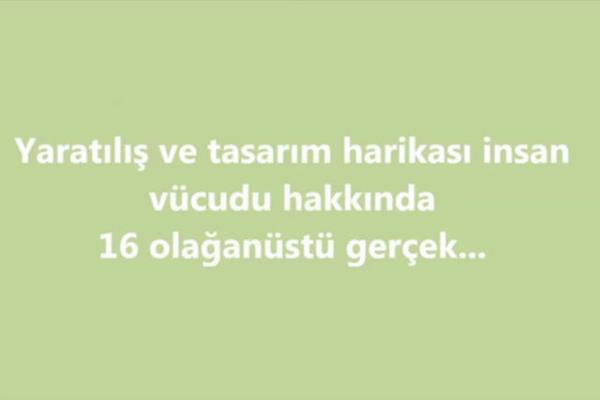 Vcudumuzun olaanst zellikleri