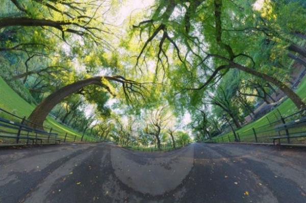 15. "The Mall," New York, N.Y.