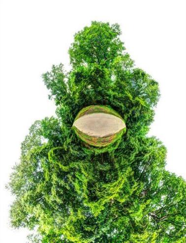 4. "Caumsett," Caumsett State Historic Park, N.Y.