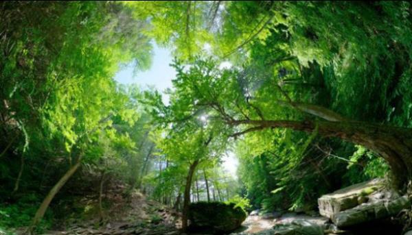 7. "Kaaterskill Creek," Ulster County, N.Y.