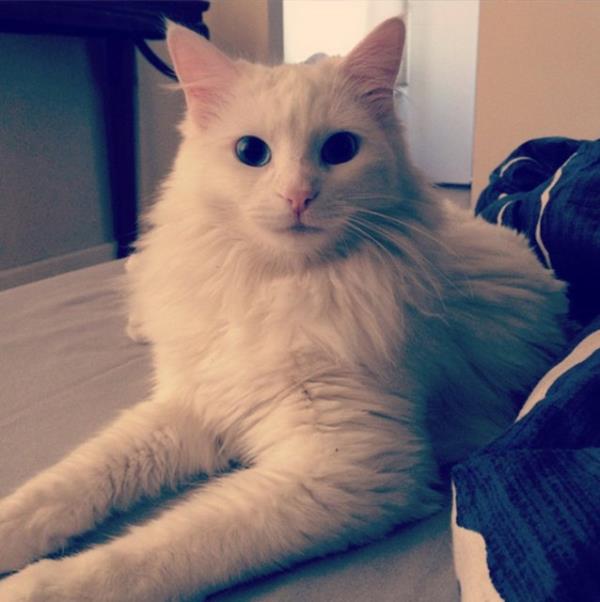 EMRE KARAYEL  <br>Gnaydn dedik ?</br>