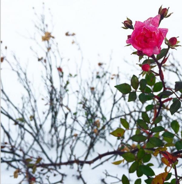 BRCE AKALAY  <br>Bu sabah byle... Gnaydn,ayakta kal.</br>