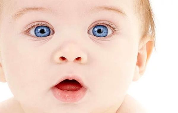 250 bebek d�nyaya geliyor