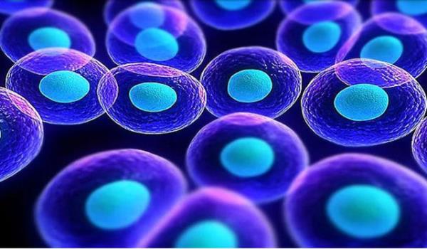 V�cudunuzdaki her bir h�crenin i�inde 6 milyon kimyasal reaksiyon oluyor