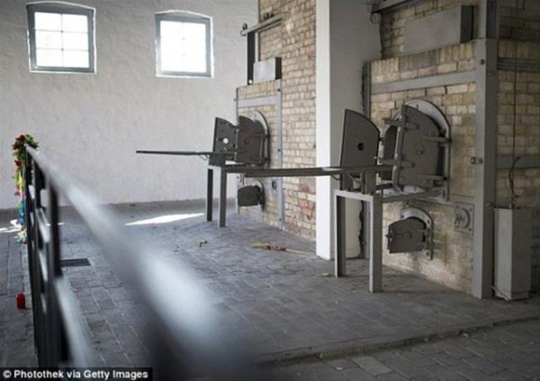 Kampta bulunan Rus bir kadn, Almanlar bizi domuz olarak grd iin tecavz etmiyorlard ancak bizim askerlerimiz bize gnlerce tecavz ettiler, diye konutu.