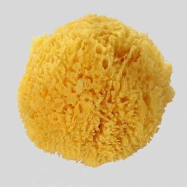 Odaya sinen sigara kokusuna kar��; Odan�z�n baz� k��elerine �slak bir s�nger koyun. Islak s�nger t�m sigara kokusunu alacakt�r.