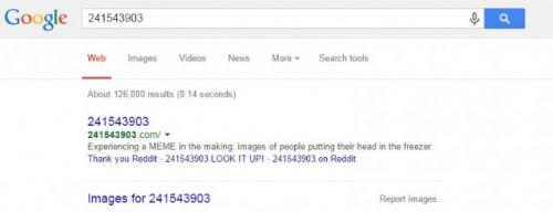 Google Grsellerine 241543903 saysn yazdnzda resimlerde kafasn buzdolabna sokmu insanlar kmakta.