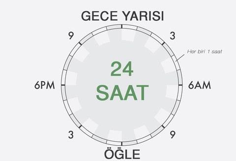 <p><b>Ne fena, bir gnde sadece 24 saat var! Fakat tarihteki en efsane kiiliklerin de 24 saati vard. Bakn onlar gnlerini nasl kullanyordu?</b></p>    "Zaman ksa, direncim snrl, ofis kabus gibi, evim grltl; ve ayet keyifli, basit bir hayat mmkn deilse ustaca manevralarla kendime yer amaya almak zorunda kalyorum." diyordu Franz Kafka, 1912 ylnda arkada Felice Bauer'e yazd mektupta.    <p>Byk fikirlerin ve byk eserlerin mucitleri gndelik hayatlarnda ne yapyorlard? Tarihin sayfalarnda kendilerine yer edinmelerini salayan o byk eserler hangi gnlk rutinlerin sonucunda domutu?</p>    (Her gn 24 saatlik srekli bir dng halinde ve bir zaman ark eklinde gsterilmitir. st blm gece yarsn, normalde saatin 6 olduu blm ise leyi simgeler.)