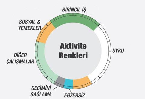 Renkler alma, uyuma, egzersiz gibi ana aktivite kategorilerini belirtir.    <p>&#8203;Kede yer alan tarihler ise, bu rneklemenin ait olduu yl gsterir.</p>