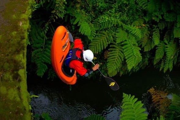 Ancak hepsinin tutkusu ortak; adrenalin...