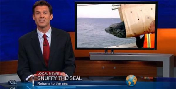 <p><b>nternette dolaan bu fotoraflarn hepsi sahte...</b></p>  Trenle denize braklan fok baln, kpek bal havada kapt...