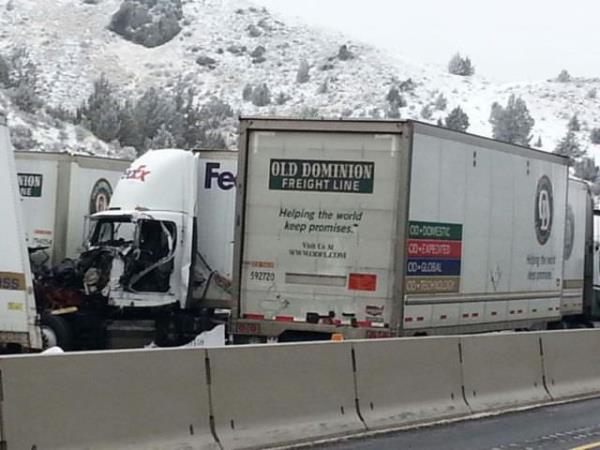 ki trn rmorku arasna skm Whitby, ans eseri neredeyse yara almadan kurtuldu.