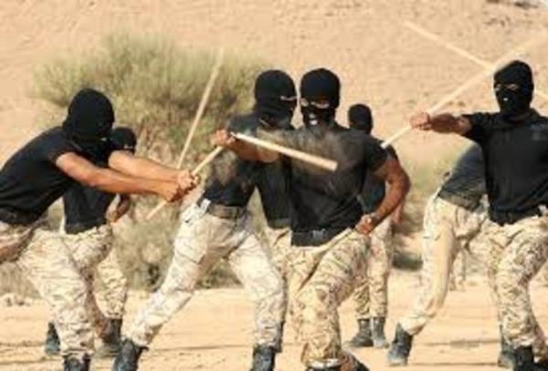 30. Royal Saudi Land Forces Academy (Suudi Arabistan)