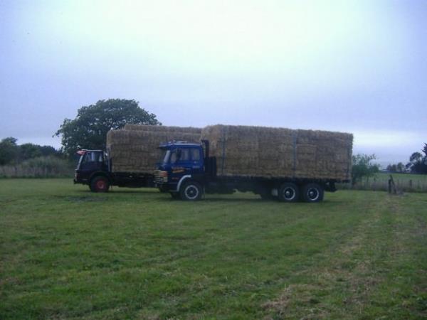 Uzmanlar dikkatli olunmas konsusunda uyarsa da, ekonomik olmas bata olmak zere samandan evler giderek yaygnlayor.