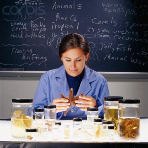 70. Biyolog     Yllk gelir: 71 bin 159 Dolar