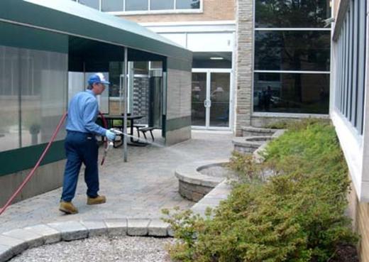 95. Zararllarla Mcadele cisi     Yllk gelir: 30 bin 135 Dolar