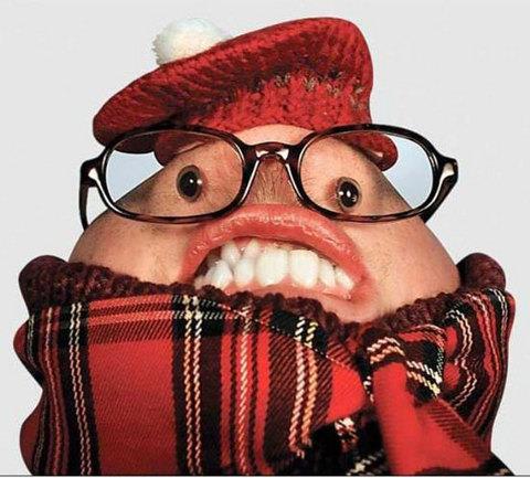 te sanal alemde yaynlanan, tklanma rekorlar kran, gelmi gemi en komik, en tuhaf ve en ilgin fotoraflar...