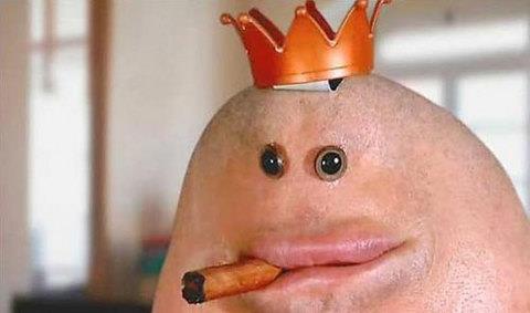 te sanal alemde yaynlanan, tklanma rekorlar kran, gelmi gemi en komik, en tuhaf ve en ilgin fotoraflar...