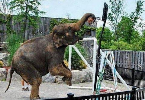 te sanal alemde yaynlanan, tklanma rekorlar kran, gelmi gemi en komik, en tuhaf ve en ilgin fotoraflar...