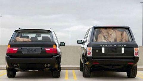 te sanal alemde yaynlanan, tklanma rekorlar kran, gelmi gemi en komik, en tuhaf ve en ilgin fotoraflar...