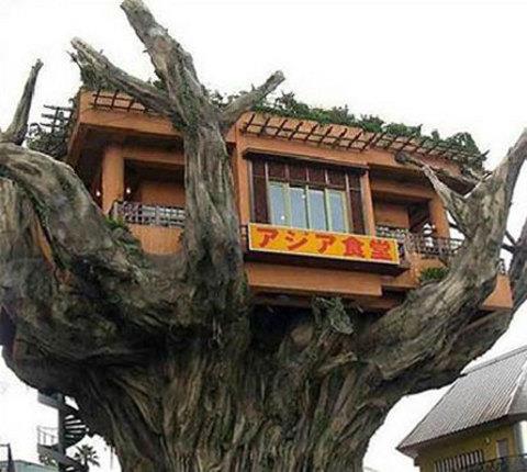 te sanal alemde yaynlanan, tklanma rekorlar kran, gelmi gemi en komik, en tuhaf ve en ilgin fotoraflar...