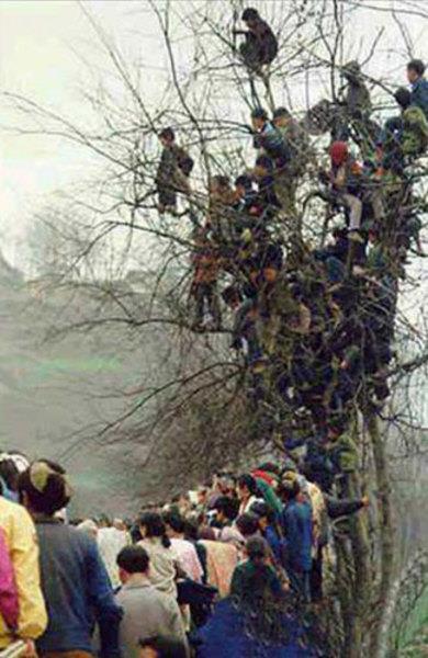 te sanal alemde yaynlanan, tklanma rekorlar kran, gelmi gemi en komik, en tuhaf ve en ilgin fotoraflar...