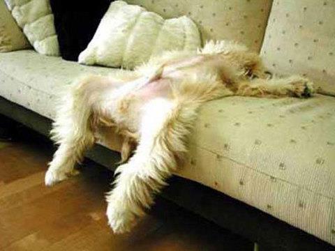 te sanal alemde yaynlanan, tklanma rekorlar kran, gelmi gemi en komik, en tuhaf ve en ilgin fotoraflar...