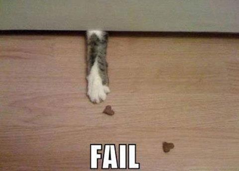 te sanal alemde yaynlanan, tklanma rekorlar kran, gelmi gemi en komik, en tuhaf ve en ilgin fotoraflar...