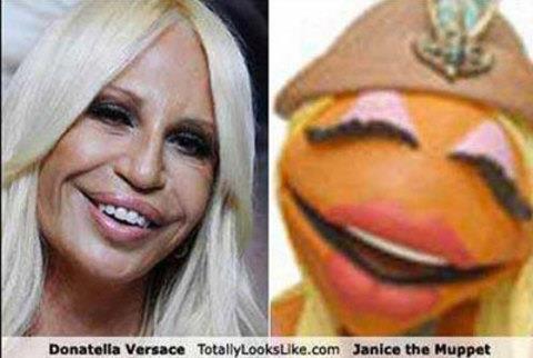 te sanal alemde yaynlanan, tklanma rekorlar kran, gelmi gemi en komik, en tuhaf ve en ilgin fotoraflar...