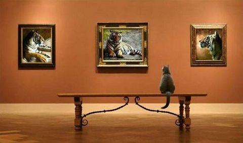 te sanal alemde yaynlanan, tklanma rekorlar kran, gelmi gemi en komik, en tuhaf ve en ilgin fotoraflar...