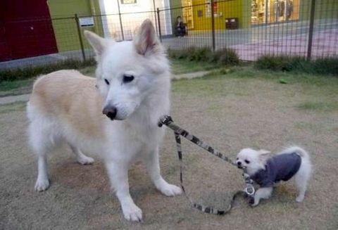 te sanal alemde yaynlanan, tklanma rekorlar kran, gelmi gemi en komik, en tuhaf ve en ilgin fotoraflar...