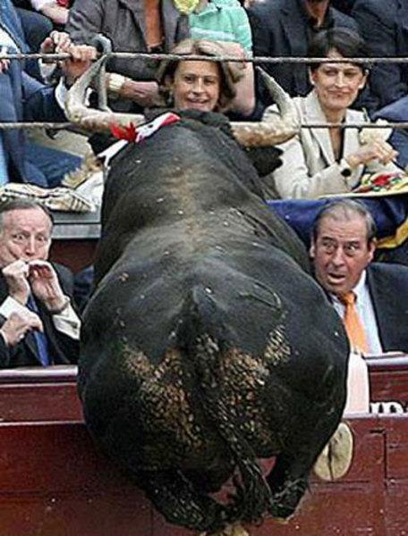 te sanal alemde yaynlanan, tklanma rekorlar kran, gelmi gemi en komik, en tuhaf ve en ilgin fotoraflar...