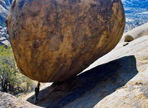 te sanal alemde yaynlanan, tklanma rekorlar kran, gelmi gemi en komik, en tuhaf ve en ilgin fotoraflar...