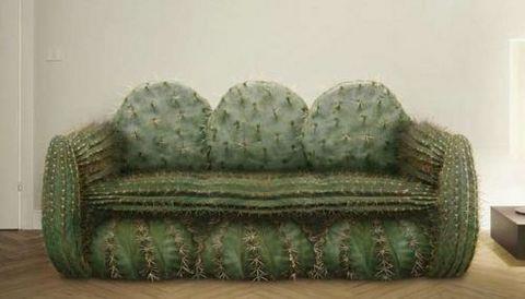 te sanal alemde yaynlanan, tklanma rekorlar kran, gelmi gemi en komik, en tuhaf ve en ilgin fotoraflar...