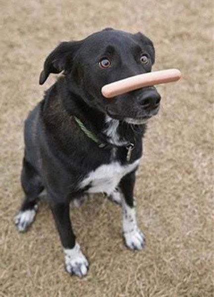 te sanal alemde yaynlanan, tklanma rekorlar kran, gelmi gemi en komik, en tuhaf ve en ilgin fotoraflar...