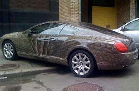 te sanal alemde yaynlanan, tklanma rekorlar kran, gelmi gemi en komik, en tuhaf ve en ilgin fotoraflar...