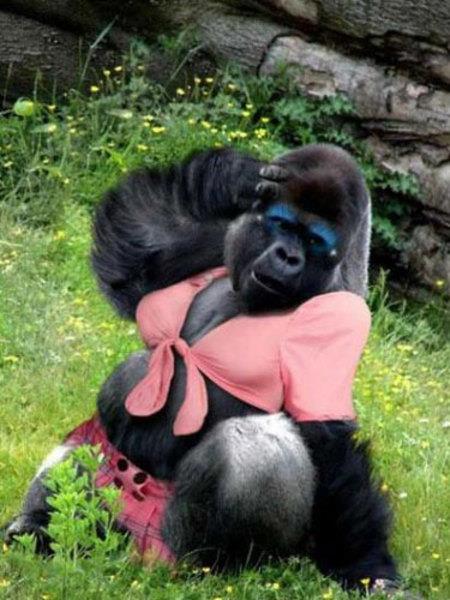 te sanal alemde yaynlanan, tklanma rekorlar kran, gelmi gemi en komik, en tuhaf ve en ilgin fotoraflar...