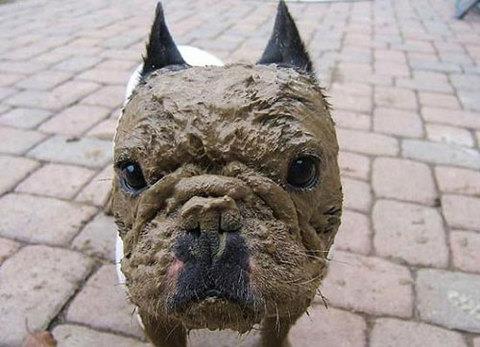 te sanal alemde yaynlanan, tklanma rekorlar kran, gelmi gemi en komik, en tuhaf ve en ilgin fotoraflar...