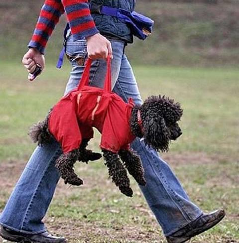 te sanal alemde yaynlanan, tklanma rekorlar kran, gelmi gemi en komik, en tuhaf ve en ilgin fotoraflar...