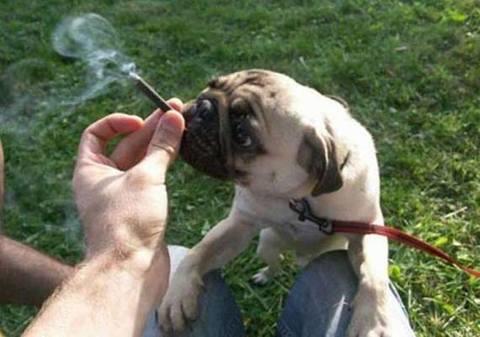 te sanal alemde yaynlanan, tklanma rekorlar kran, gelmi gemi en komik, en tuhaf ve en ilgin fotoraflar...