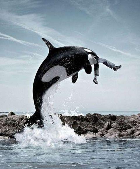 te sanal alemde yaynlanan, tklanma rekorlar kran, gelmi gemi en komik, en tuhaf ve en ilgin fotoraflar...