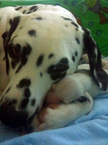 te sanal alemde yaynlanan, tklanma rekorlar kran, gelmi gemi en komik, en tuhaf ve en ilgin fotoraflar...