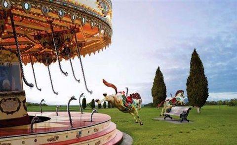 te sanal alemde yaynlanan, tklanma rekorlar kran, gelmi gemi en komik, en tuhaf ve en ilgin fotoraflar...