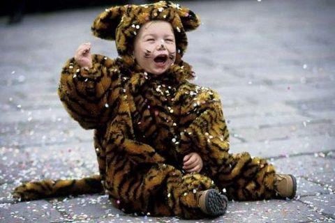 te sanal alemde yaynlanan, tklanma rekorlar kran, gelmi gemi en komik, en tuhaf ve en ilgin fotoraflar...