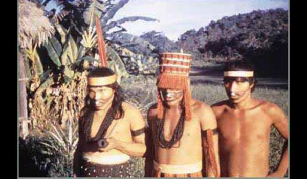 Korunmasndaki zorluklar; okullarda resmi olarak retilmemesi. Yaylmasndaki sebepse tek bir gl topluluun dili yaatma abas olarak dnlebilir.